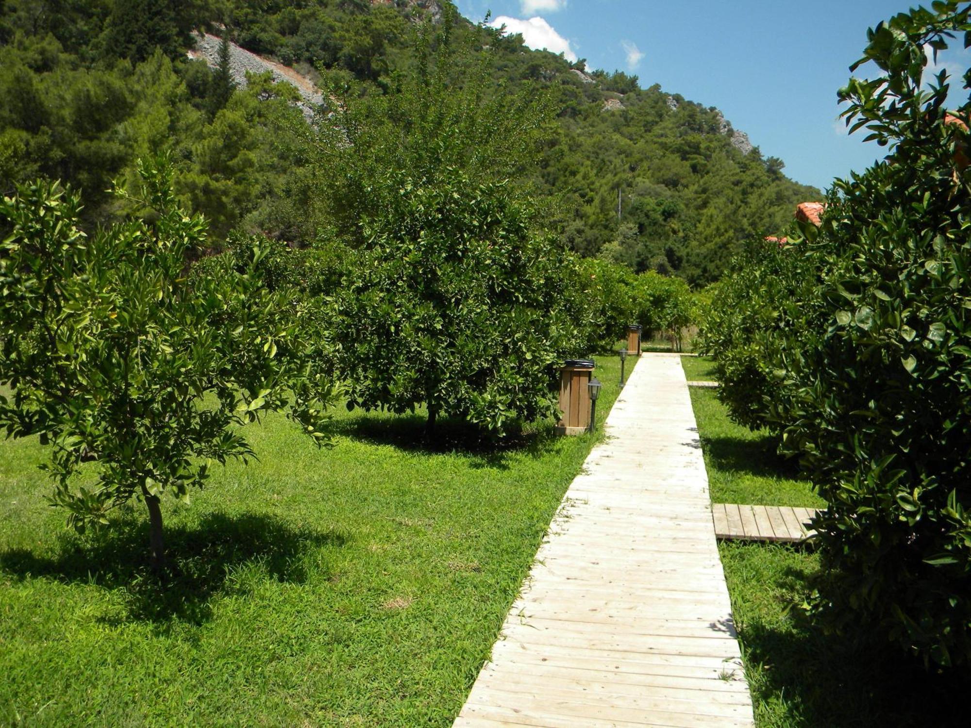 Azra Villas Çıralı Szoba fotó