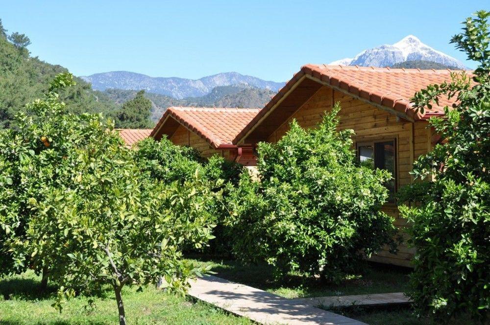 Azra Villas Çıralı Kültér fotó