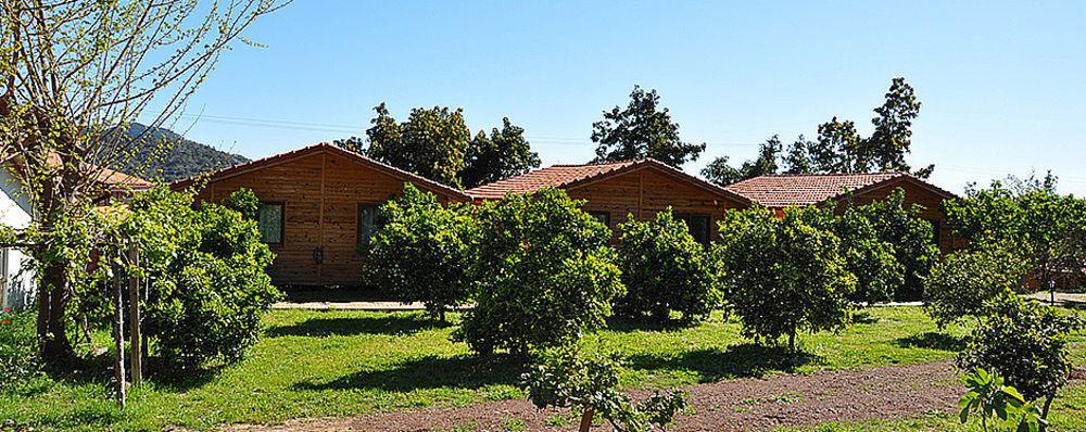 Azra Villas Çıralı Kültér fotó